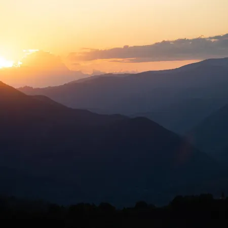 - Admite Mascotas * フォルミガル