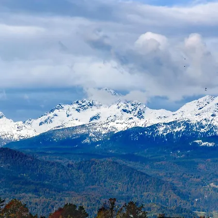 - Admite Mascotas アパート フォルミガル